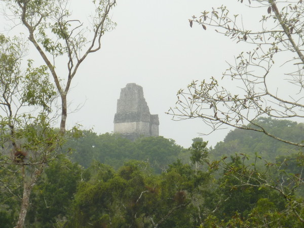 P1050943-Tikal.JPG