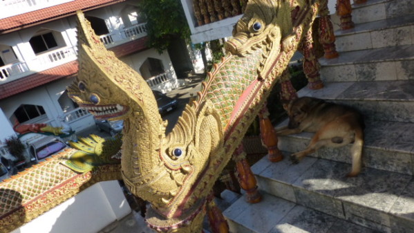 P1270638 Chiang Mai