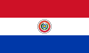 800px-Flag_of_Paraguay.svg_6